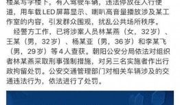 枞阳黑粉爆料案件最新,真相与网络暴力的双重审视