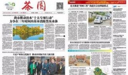 茶山新闻最新爆料,最新爆料引发热议