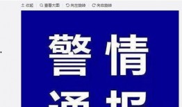 大连华信爆料案件最新,揭露企业内幕，真相即将浮出水面